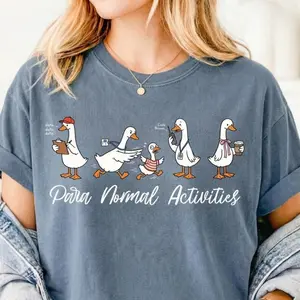 Comfort Colors Paraprofessional Silly Goose T-shirt, Para Normal Activities Teacher T-shirt, Sped Rbt Teacher Aide Gift