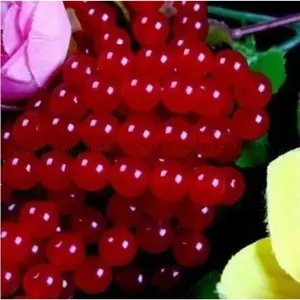 6mm Natural RARE Red Jade Round Loose Beads Gemstone 15" Strand