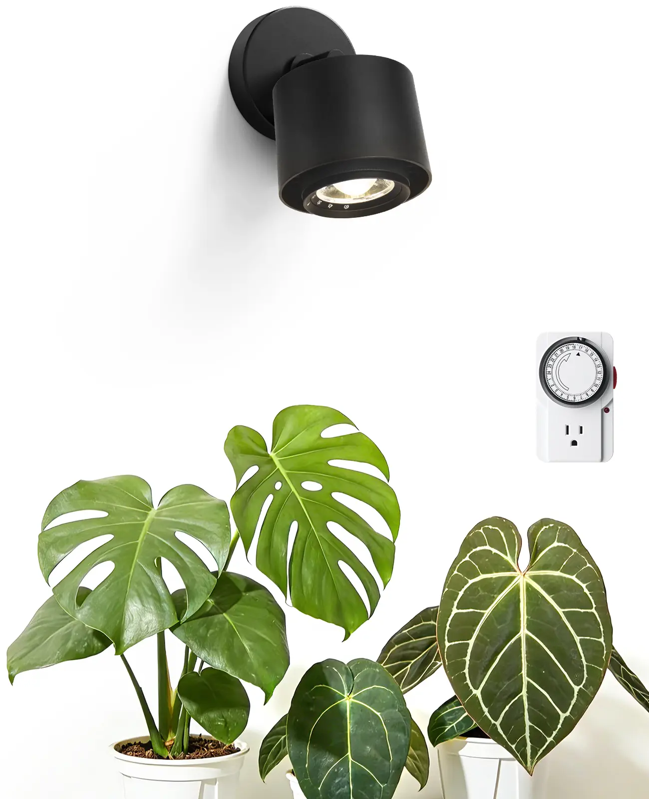 Barrina TR40a Track Grow Lights for Indoor Plants, 15°-60° Adjustable Beam Angle, 40W 4000K Full Spectrum LED Plant Light, High PPFD Spotlight Grow Lamps with Timer for House Plants, 1-Pack, Black