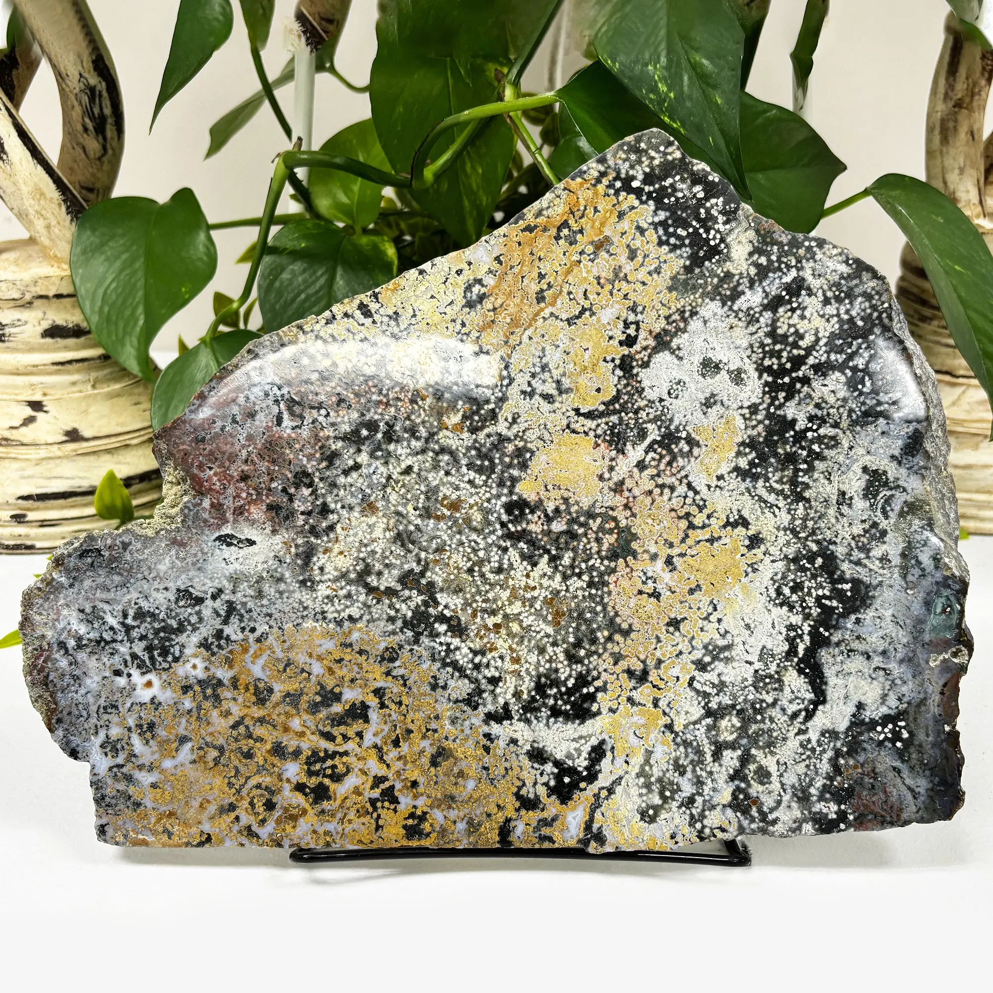 Natural Sea Jasper Crystal Slab 8.5" Polished Gemstone Slice Ocean Jasper Stone Specimen for Home Decor, Crafts & Collector Display