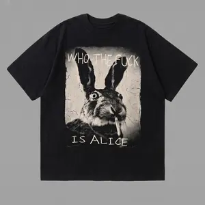 Retro Funny Vintage Graphic Tee, Who The Fuck Is Alice T-Shirt, Wonderland Unisex Meme Cringe Funny Dumb Shirt, Menswear Womenswear Streetwear