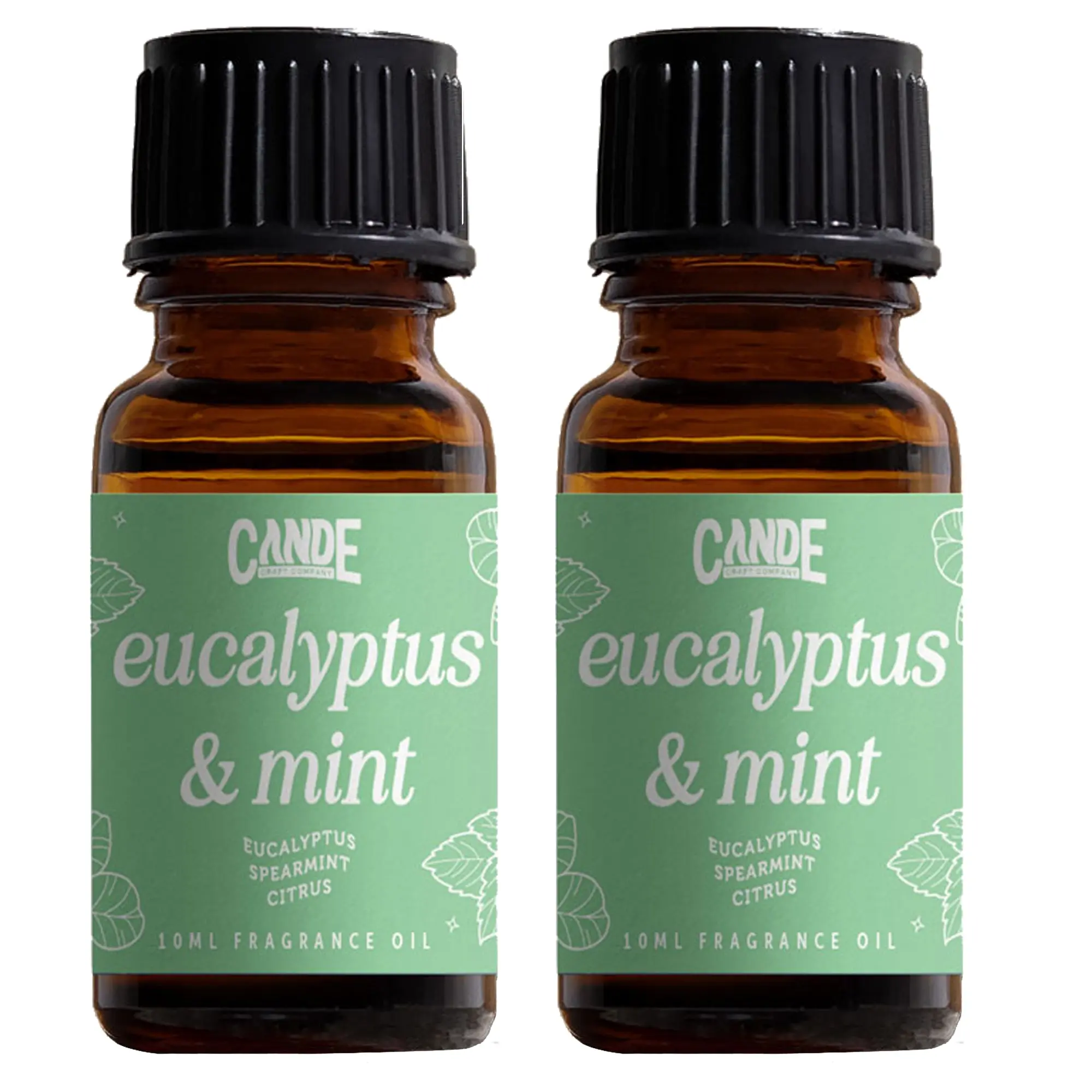 Eucalyptus & Mint