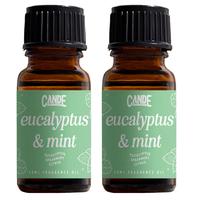 Eucalyptus & Mint