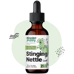 Stinging Nettle Leaf for Dogs - Itchy Skin Relief for All Breeds & Sizes - Liquid Dog Food Supplements for Irritation & Itching - Skin and Coat Supplement - Sugar & Alcohol-Free - 2