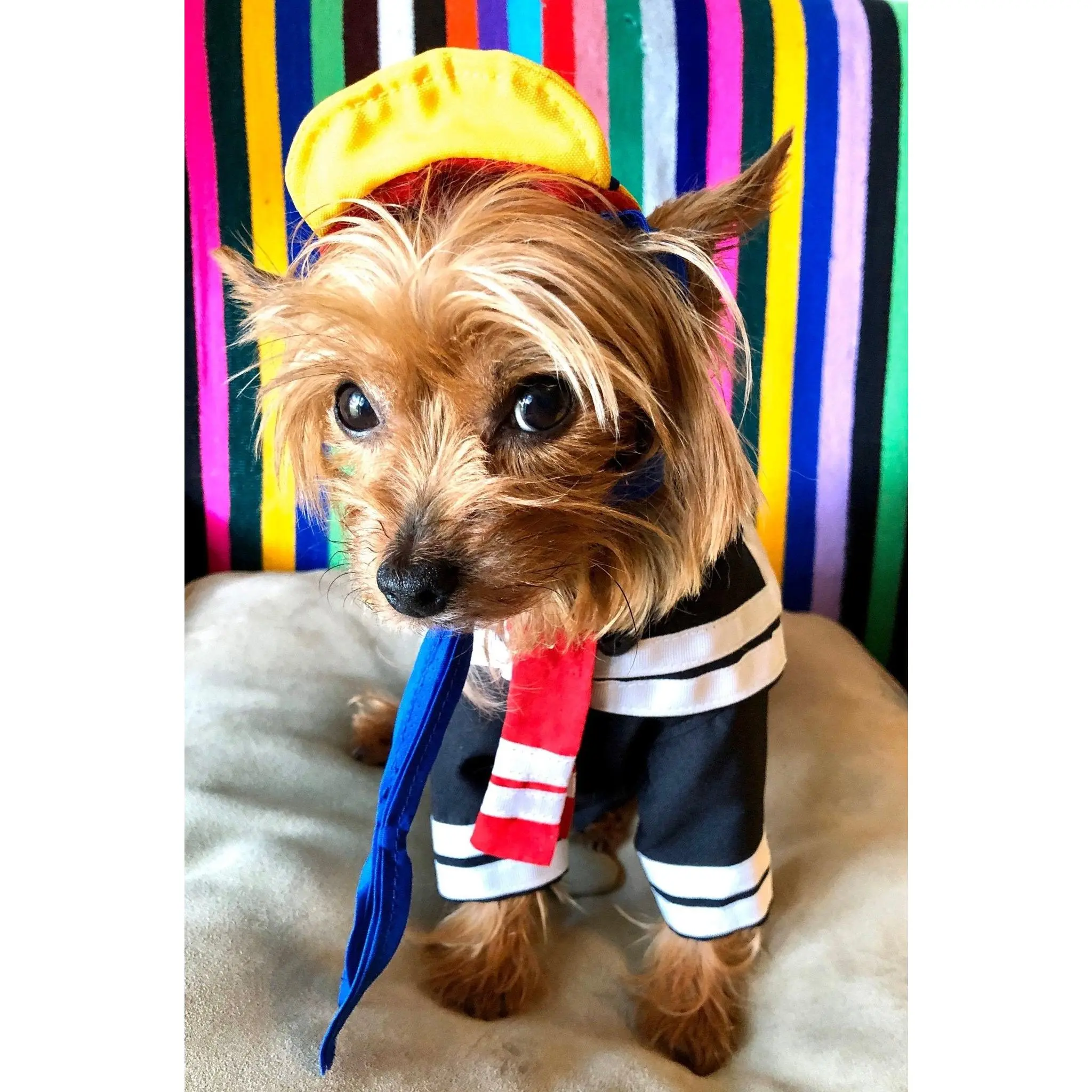 Quico dog costume- El chavo