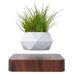 MAGECMOON Magnetic Levitation Flower Pot dark and light colored floating flower pots suitable for air plants using magnetic levitation technology a rotating floating planter for home decor gardening accessories Valentine's Day gift