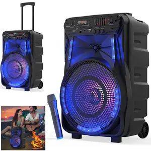 12-Inch Rechargeable High Power Bluetooth Party Speaker Portable with Trolley and Wheels  TWS, LED Lights, 5-Band Equalizer, Heavy Bass Sound