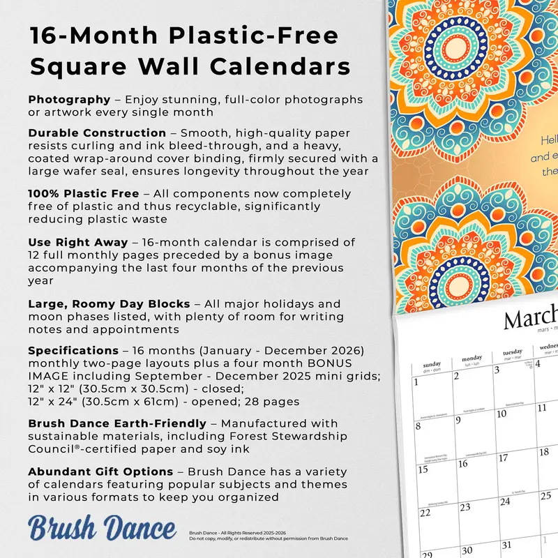 Enlightened Rumi | 2026 12 x 24 Inch (Hanging) Monthly Square Wall Calendar | Plastic-Free | Brush Dance | Traditional Art Poetry 5