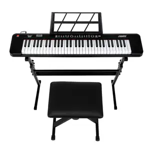 61-Key Light-Up Electronic Keyboard Piano Set for Beginners, with 200 Timbres, 200 Rhythms, 60 Demo Songs, LED Display Screen, Stereo Speakers, Headphone, Microphone, Music Rest, Power Adapter (All-in-1 Bundle)