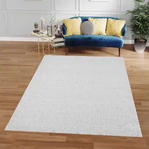 Collection Pale Celadon Woven Area Rug