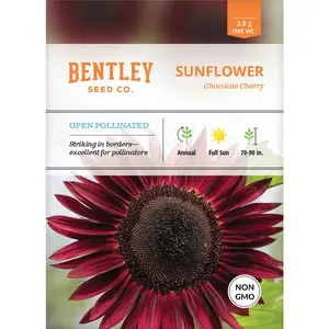 Sunflower, Chocolate Cherry Seed Packets