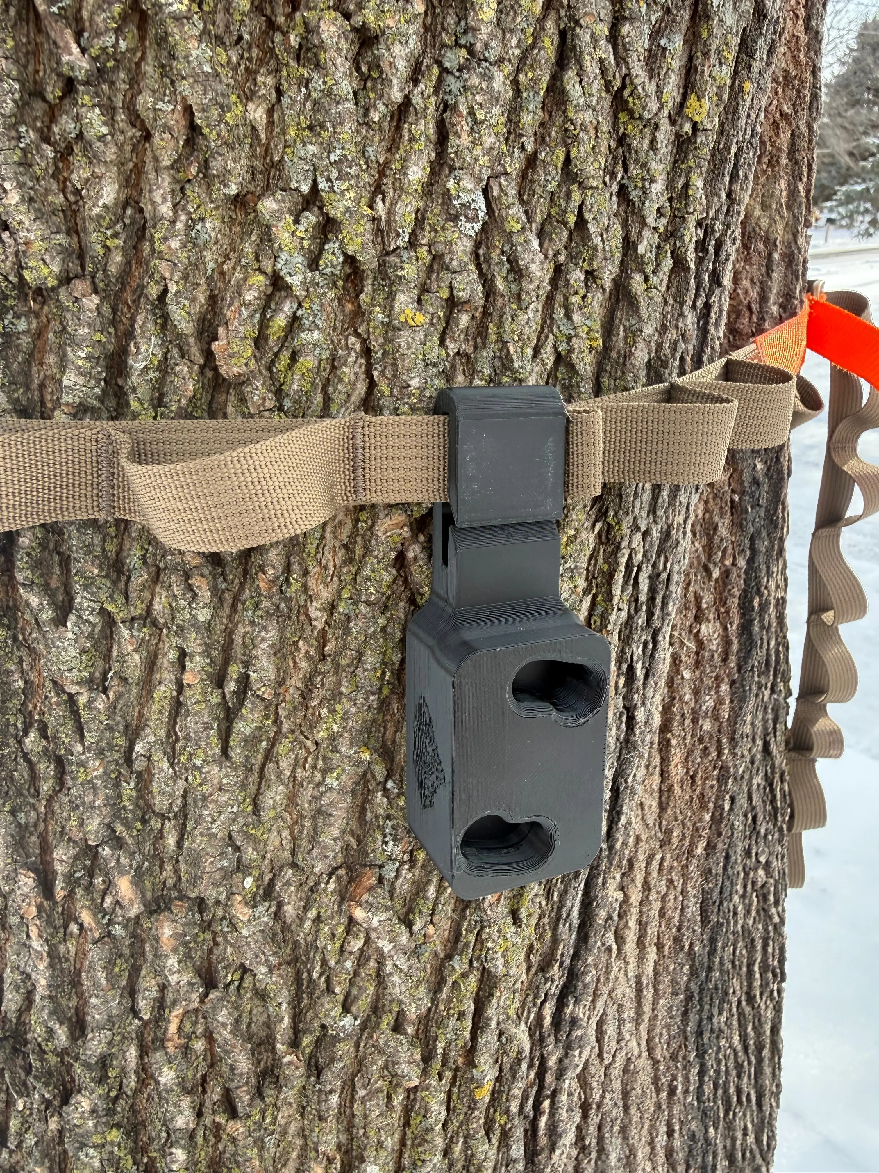 Quiver Tree Strap Bracket