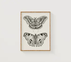 Moth and Butterfly art print