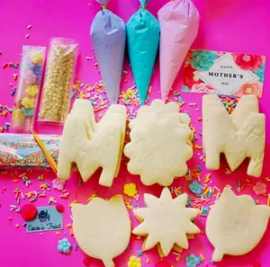 Mother's Day Cookie Decorating Kit