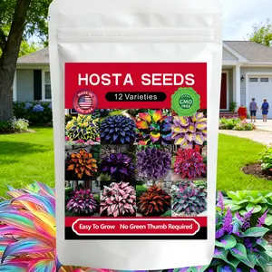 Hosta Seeds 12000+Pcs with 12 Varieties Rare Mixed Color, Non-GMO Heirloom Perennial Shade Plants Featuring Heart-Shaped Foliage, Ideal for Outdoor Garden, Pathway & Bonsai Decor