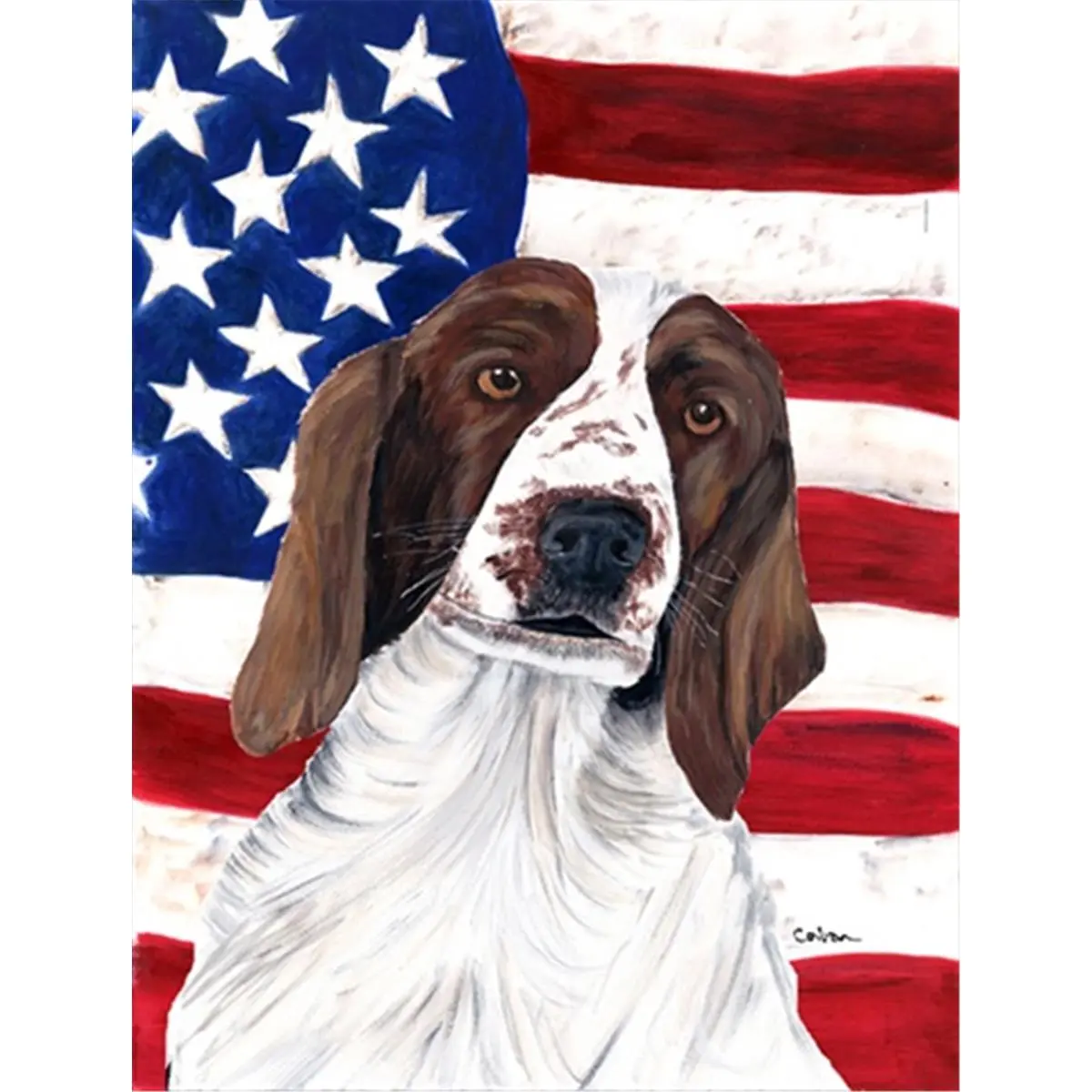 212 MAIN Double-Sided Polyester Outdoor Garden Flag, 11x15 in, Fade Resistant, Weatherproof, USA American Flag with Welsh Springer Spaniel Design, Weather Proof