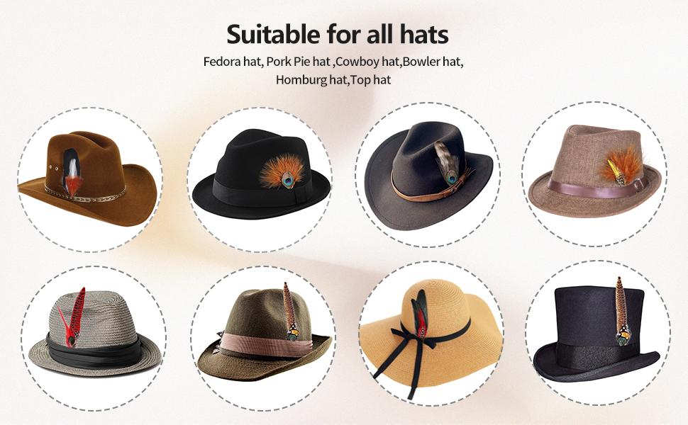 12Pcs Hat Feathers, Assorted Natural Feathers for Hats Colorful Real Feathers Pin for DIY Craft, Men Women Cowboy Hats, Fedora, Party Hats,Oktoberfest (12 Style)