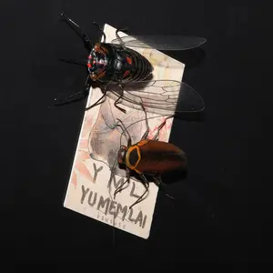 3D Magnetic Fridge Sticker, Realistic Insect Design, Cicada Simulation, Funny Gift, Micro Landscape Statue, Decorative Ornament, Refrigerator Magnets