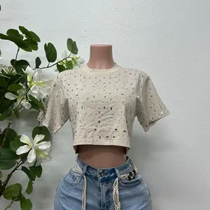 Champagne, White, Blue, Pink, Brown, and Black Elegant Crop Top with Eyelet Detailing and Short Sleeves for a Chic Look