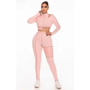 Lina Long Sleeve Cropped Top with Hight Waist Matching Legging Set-Pink
