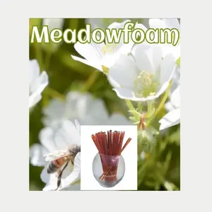 Meadowfoam – Flavor Infused, 100% Natural, Raw & Unfiltered Honey Sticks (Meadowfoam)
