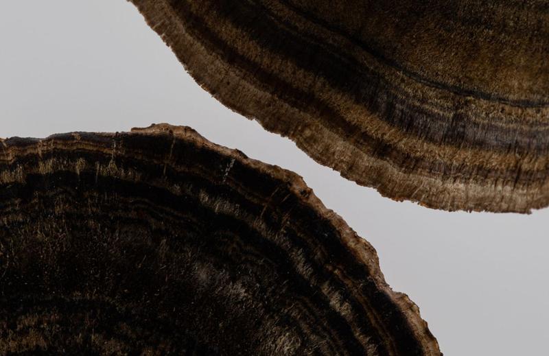 REMEDY Cream-to-Foam Cleanser with Ceramides - Gentle Super Stacked Hydrating Face Wash