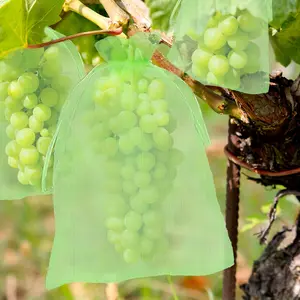 10pcs Fruit Protection Netting Bags For Fruit Trees, Garden Mesh Barrier Bags To Protect Plants From Pest Birds Squirrels, Fruit Cover Mesh Bag With Drawstring
