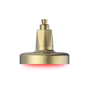 HigherDOSE Red Light Shower Filter in Polished Brass
