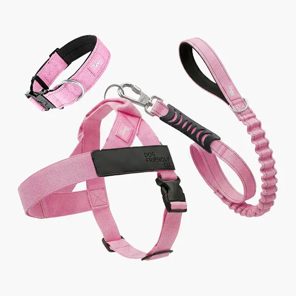 No Pull Dog Harness + Collar Set – Dog Lovers Pack - Dog Friendly CO