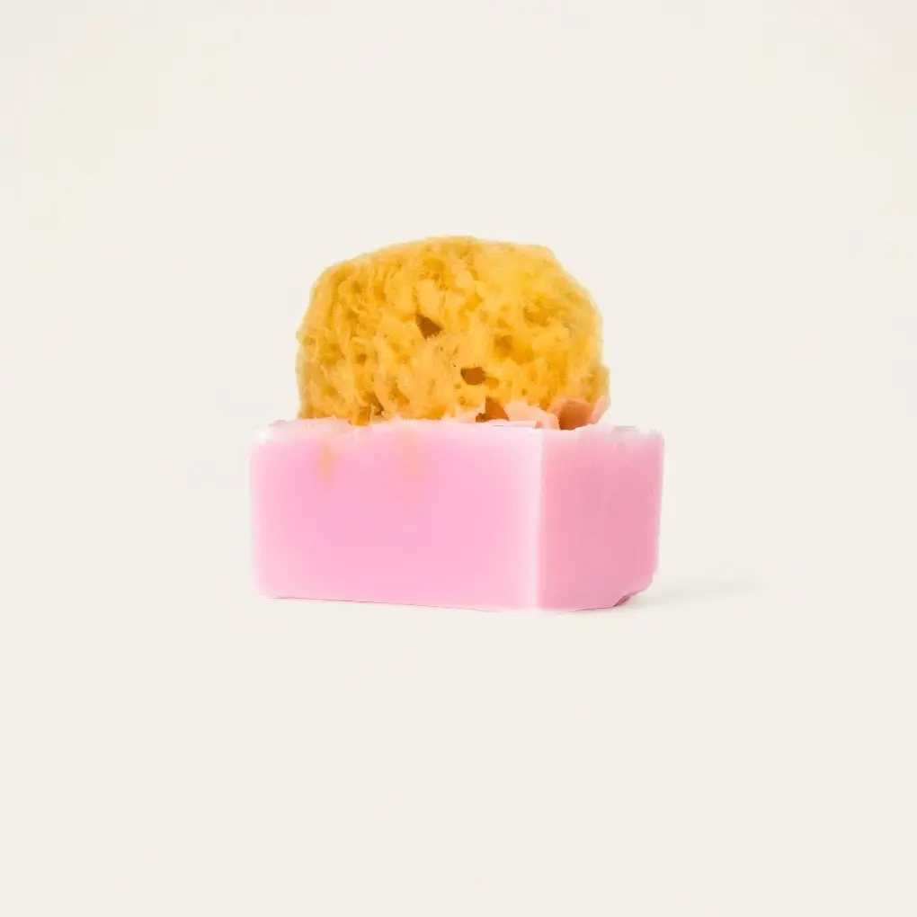 Rosehip Sea Sponge Soap - Moisturizer - Sensitive skin Body Care Body Wash