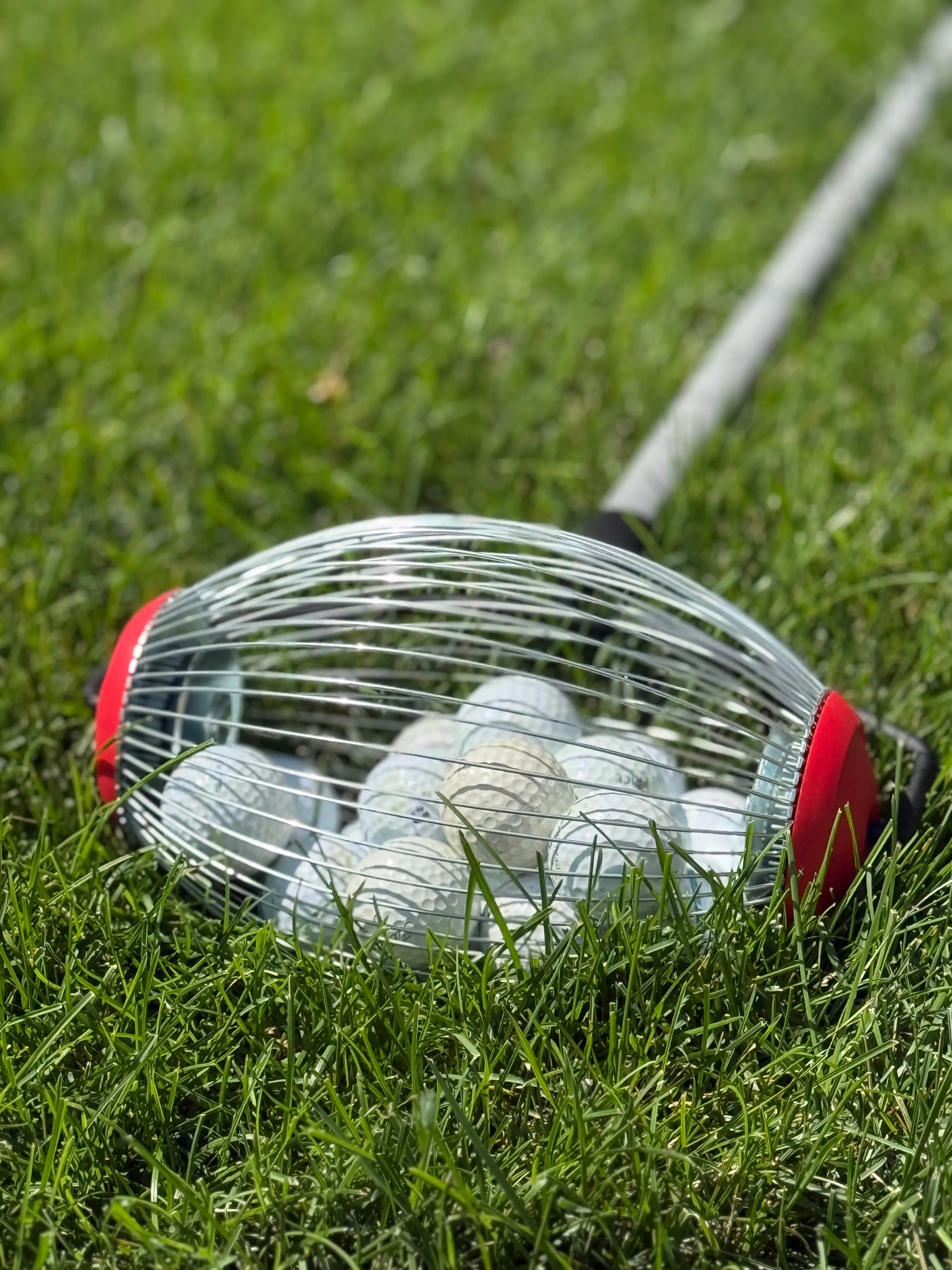 MAX 48” QuickCollector Golf Ball Picker with Carbon Steel Handle