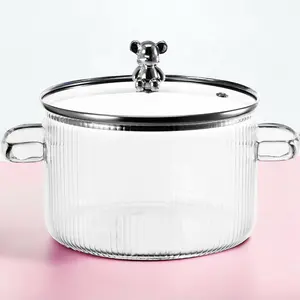 Copia Glass Saucepan – Transparent Pot for Stovetop Cooking