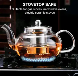 Glass Teapot 20 Oz Borosilicate Stainless Steel Inf Loose Leaf Tea Maker Camping