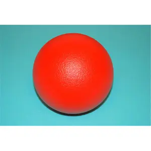 Everrich  6 Inch Foam Ball with Coating