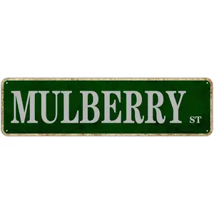 Man Cave Bar Pub Cafe Home Wall Decor Mulberry Street Sign Avenue Tin Sign Road Metal Sign Vintage Outdoor Decoration Wall Art Wall Decoration Decorative Plaque 16in x 4in Room