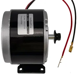 24V 250W Small Brushed Permanent Magnet Electric Motor Generator