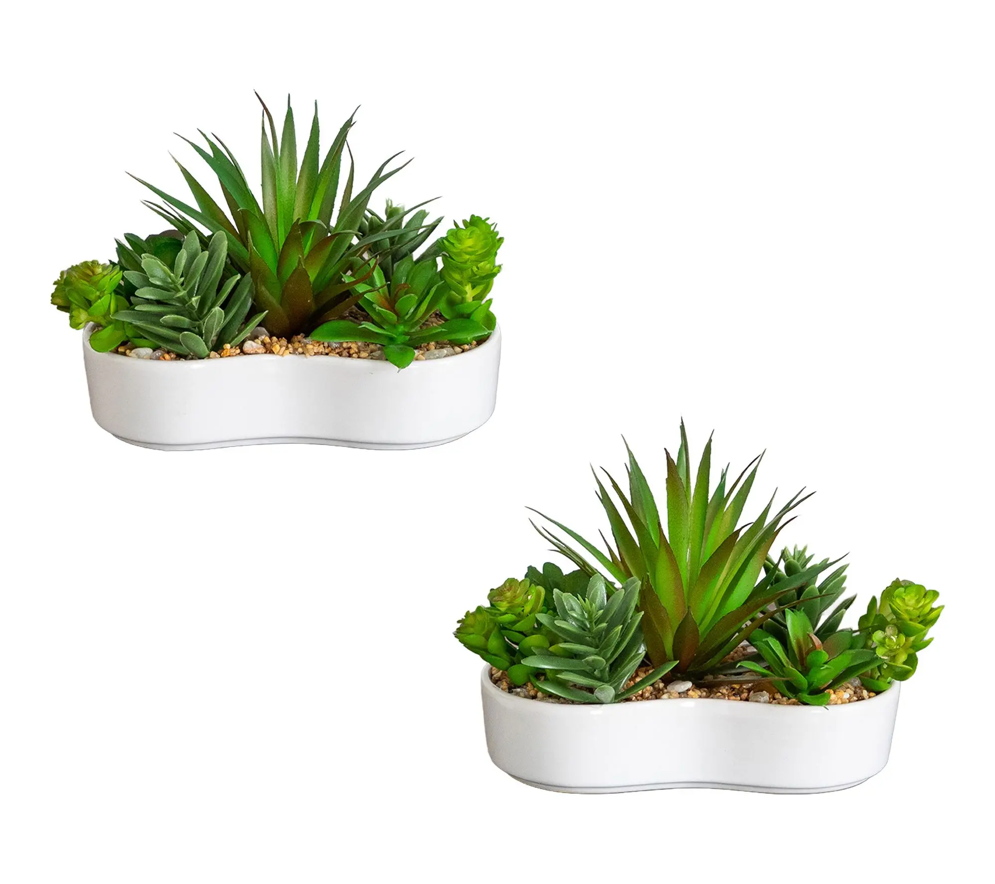 Agave Succulent in Ceramic Vase - Set of 2 by Nearly Natural