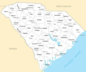 Map of South Carolina SC - County Map with selected Cities and Towns - Peel and Stick Wall Decal