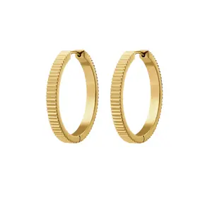 Spare Change Titanium Hoops