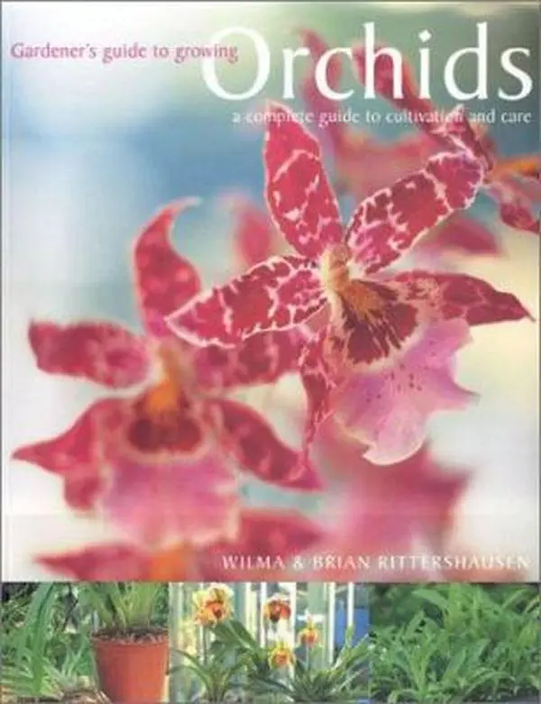 USED-Orchids: A Complete Guide to Cultivation and Care by Rittershausen (Paperback)