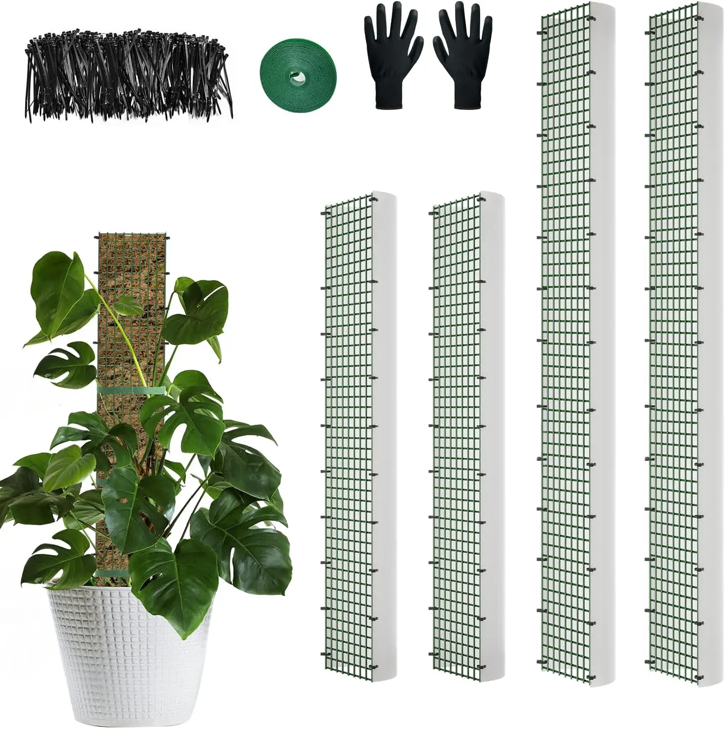 60" 40" 24" Metal Moss Pole, D Shape Sphagnum Moss Pole, Moss Poles for Climbing Plants, Monstera, Indoor Climbing Plants (2 Each of 40" 24")