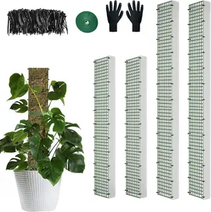 60" 40" 24" Metal Moss Pole, D Shape Sphagnum Moss Pole, Moss Poles for Climbing Plants, Monstera, Indoor Climbing Plants (2 Each of 40" 24")