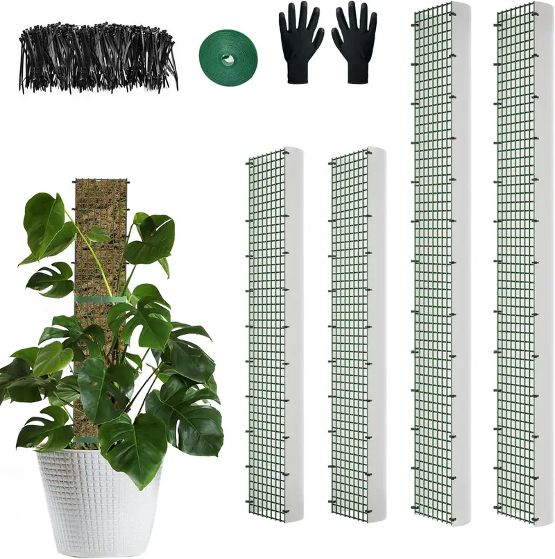 fertilizer for croton plants Croton Plant– Seed World main image 1