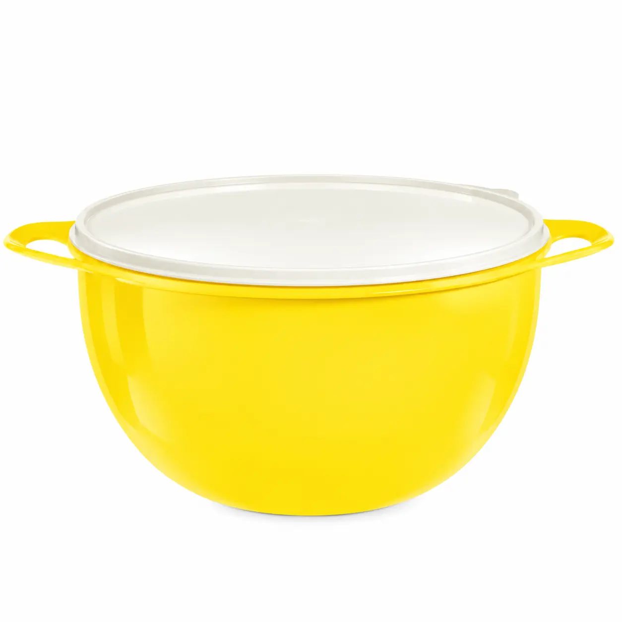 Tupperware Thatsa Jumbo Bowl - the biggest Tupperware bowl ever made! For all your BIG jobs!