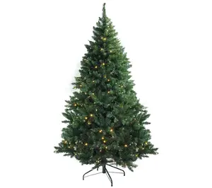 Northlight 7.5' Full Buffalo Fir Tree-Warm White LED Lights