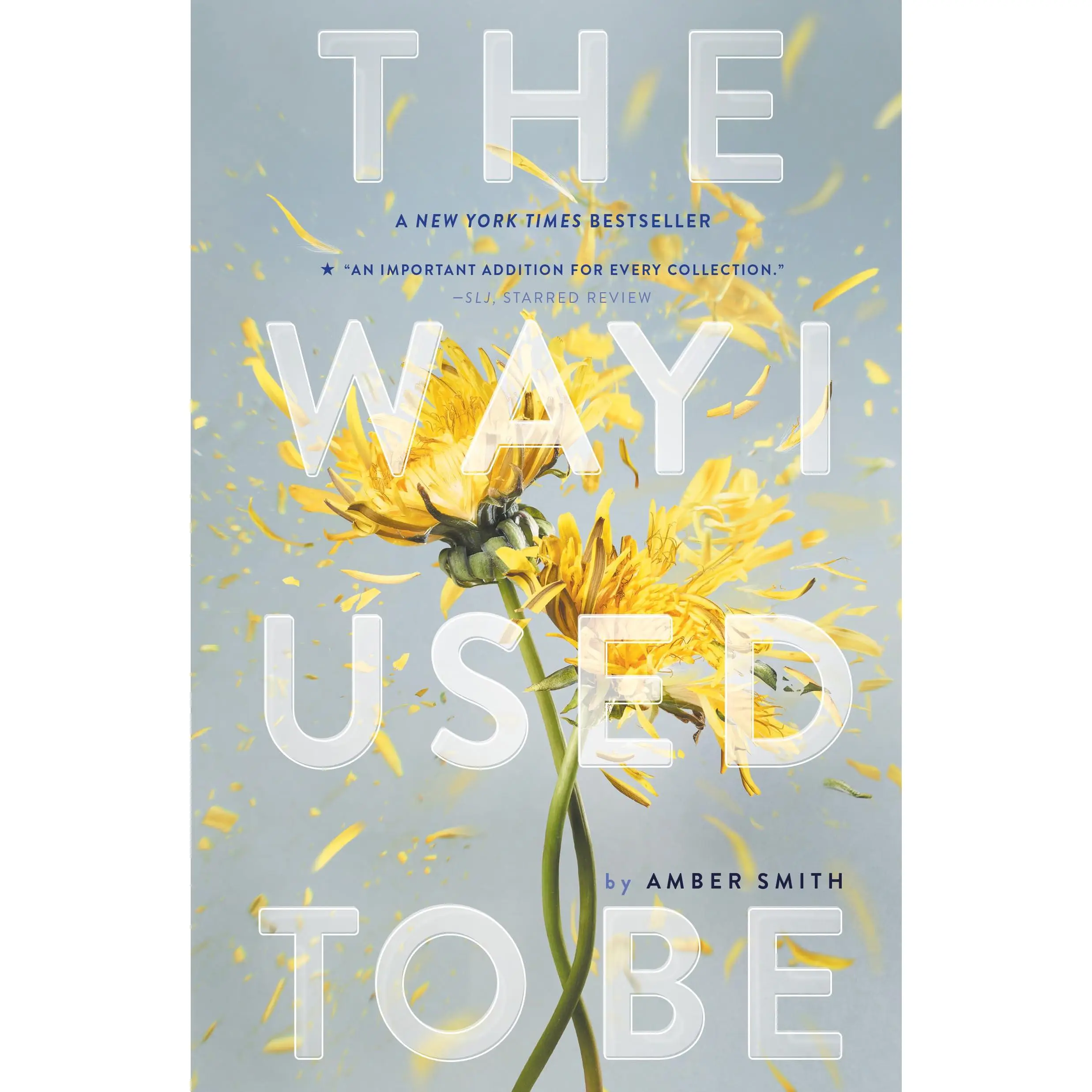 The Way I Used to Be -- Amber Smith - Paperback