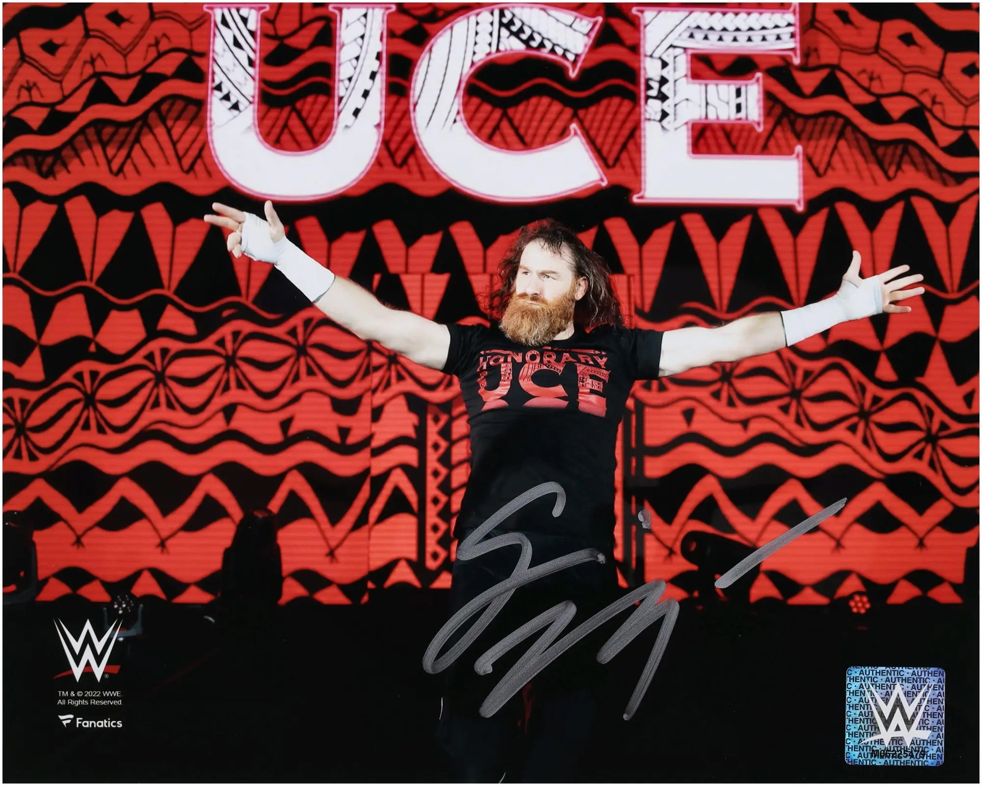 Sami Zayn WWE Autographed 8" x 10" Entrance Arms Out Photograph - Fanatics Authentic Certified