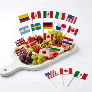 100 Pcs Mini Flags on Sticks for Global Football Event, 48 Different Countries Toothpick Flag, Flag Cupcake Toppers for Soccer Party Decorations, International Toothpick Flags Cocktail Picks