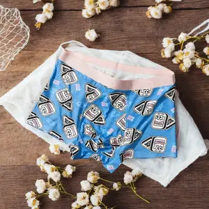 Premium Cartoon Sushi Briefcase set, Funny Men's Boxer Briefs Valentines Day Gift Boyfriend, Men's Underwear, Gift For Husband