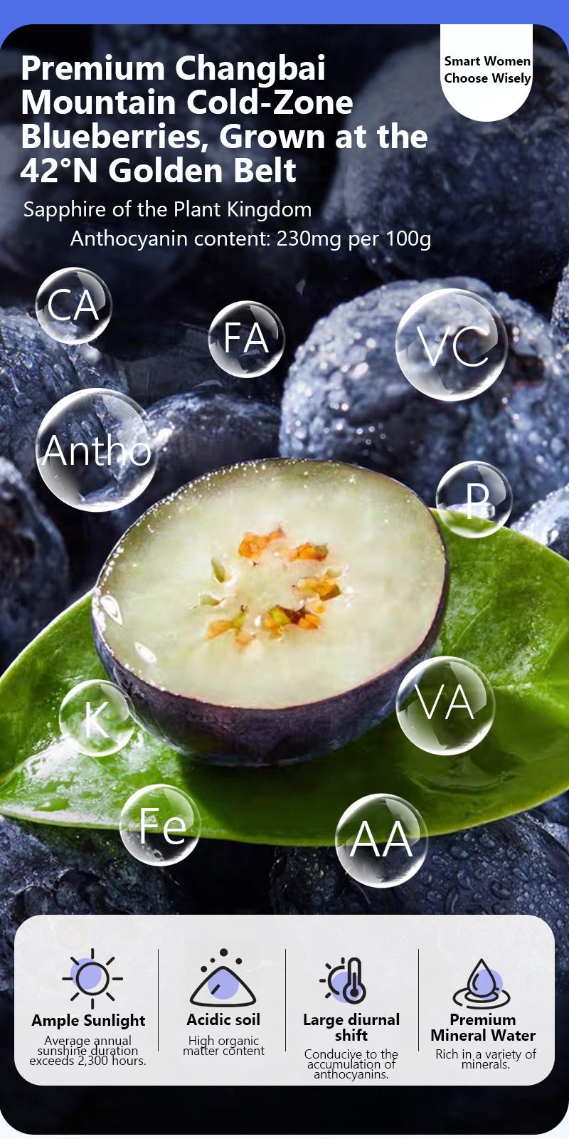 Blueberry Sesame Balls